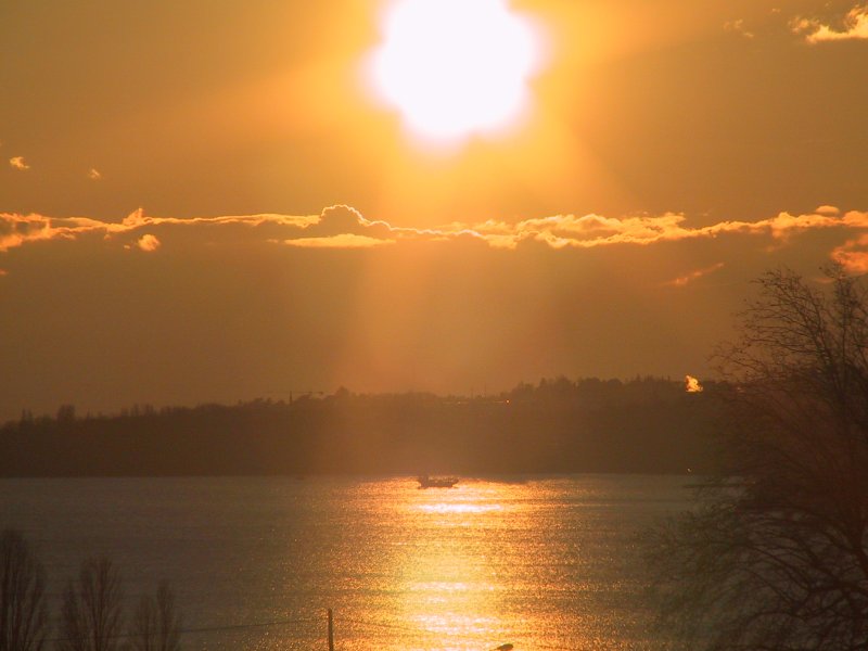 Suisse/Vaud/Preverenges/Soleil/2001/imgg_3220.jpg