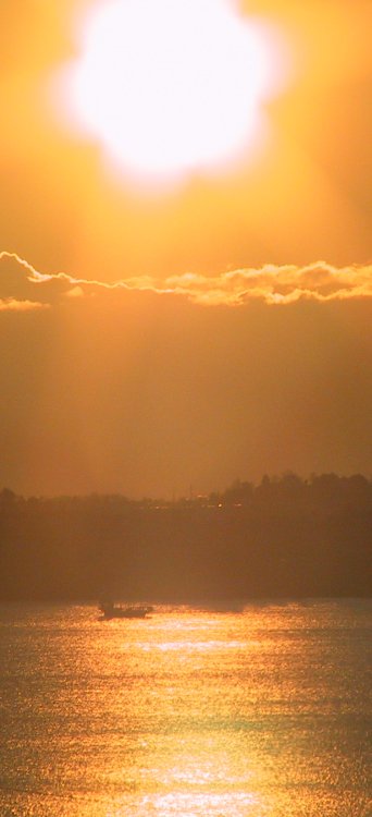 Suisse/Vaud/Preverenges/Soleil/2001/imgg_3223.jpg