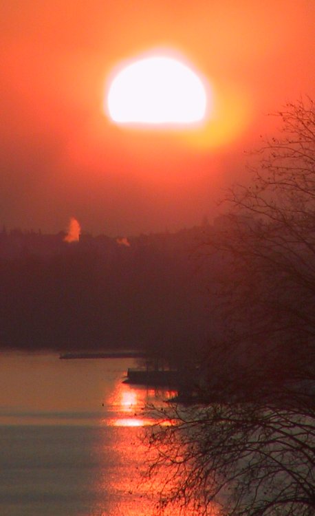 Suisse/Vaud/Preverenges/Soleil/2001/imgg_3241.jpg