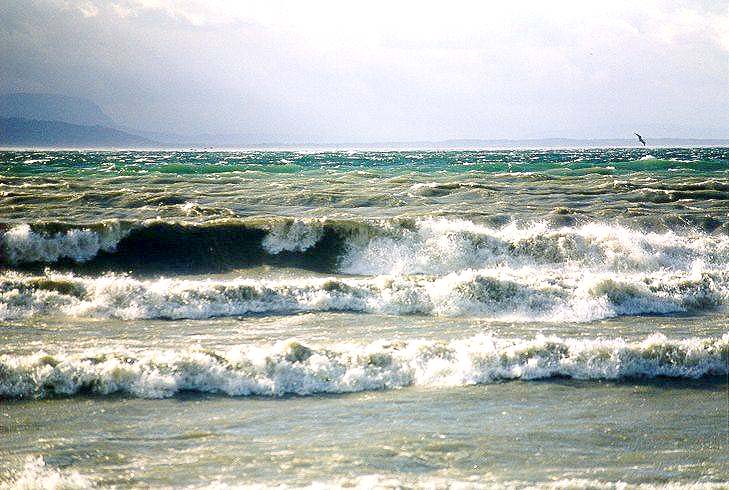 Suisse/Vaud/Preverenges/Storm-Tempete/19991226/temp9903.jpg
