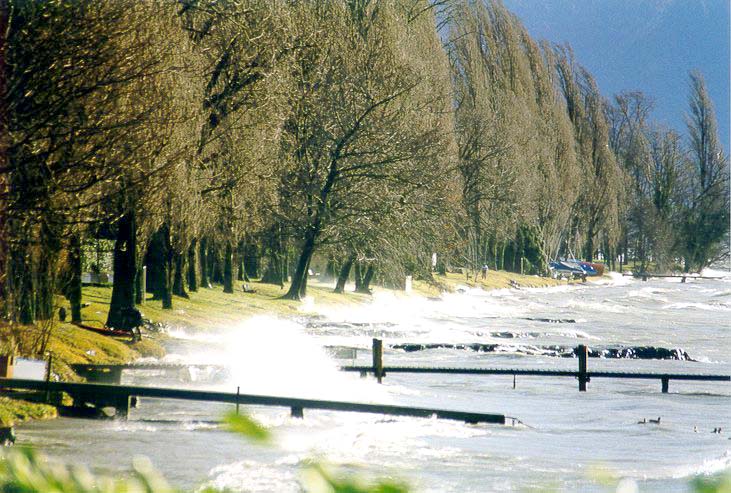 Suisse/Vaud/Preverenges/Storm-Tempete/19991226/temp9904.jpg
