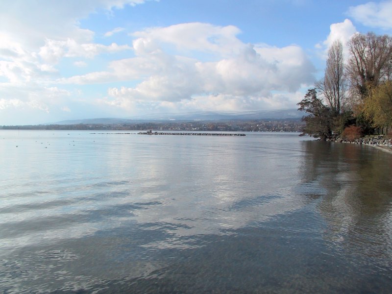 Suisse/Vaud/Preverenges/ile/20011202/imgg_3144.jpg