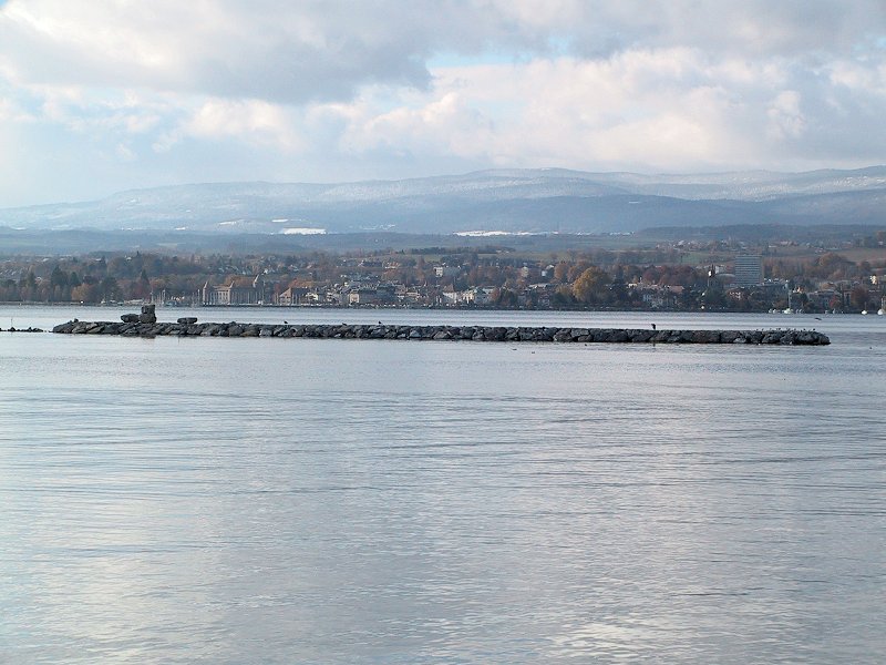 Suisse/Vaud/Preverenges/ile/20011202/imgg_3145.jpg