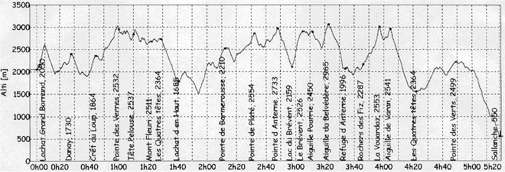 Vols/Chamonix/volg.gif