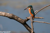 randimg/nature