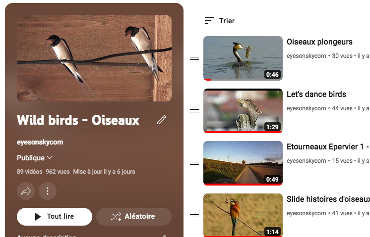 Toutes les vidéos d'oiseaux